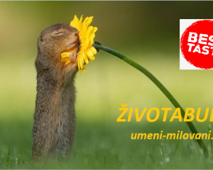 ZivotaBudic - BEST TASTE